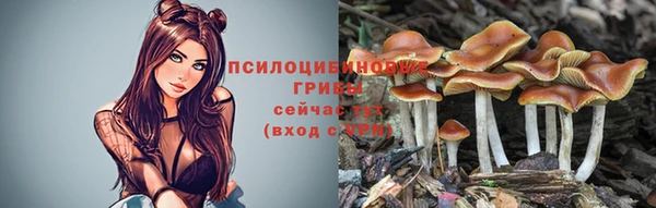 винт Заволжск