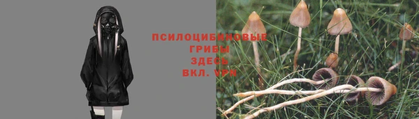 тгк Заволжье