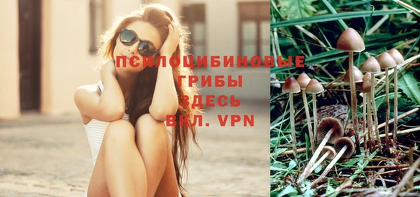 марихуана Заводоуковск