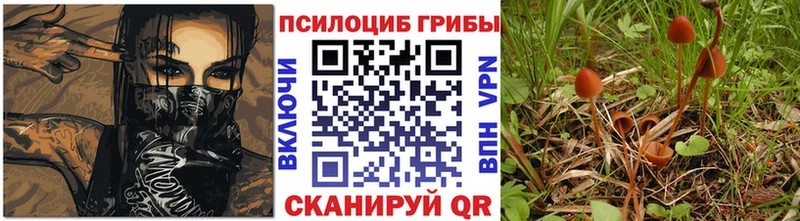 Купить где  Асбест  Псилоцибиновые грибы GOLDEN TEACHER 